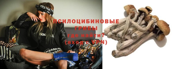 спайс Семёнов