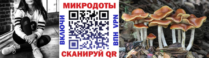 Псилоцибиновые грибы Magic Shrooms  mega ссылки  Котлас 