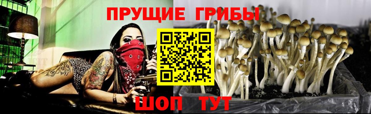 Галлюциногенные грибы Magic Shrooms Котлас