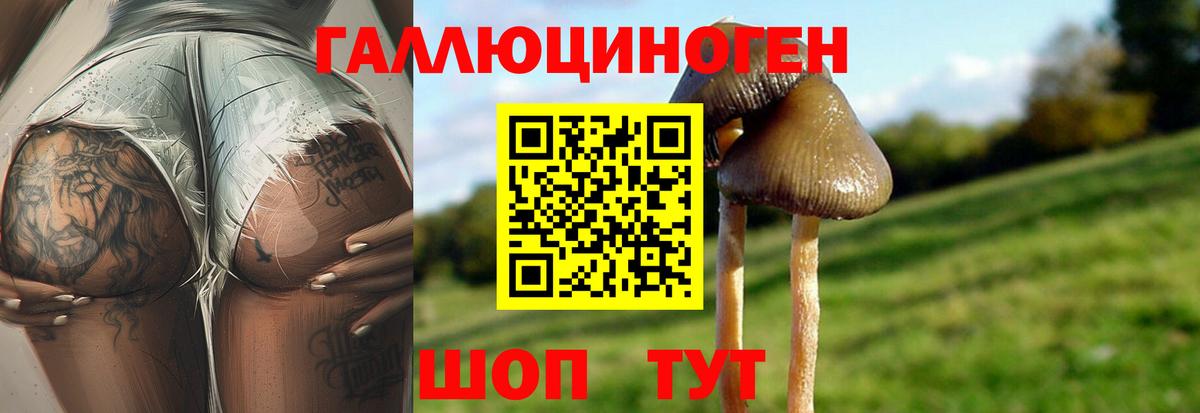 Галлюциногенные грибы Magic Shrooms  Вход с VPN  Котлас 