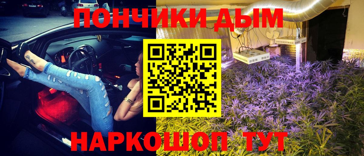 Котлас  Шишки марихуана марихуана  Канабис план  Бошки Шишки ГИДРОПОН  Марихуана семена  Вход с VPN 